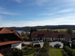 Отель Lipno Lake House  Предни Вытон